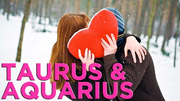 Taurus Aquarius