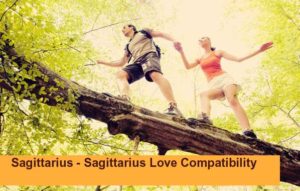 sagittarius male sagittarius female compatibility