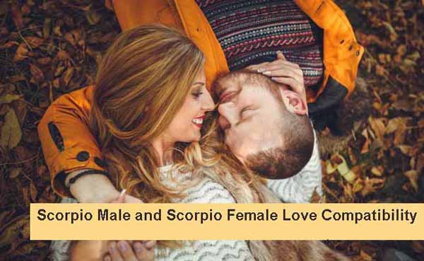 scorpio male scorpio female compatibility