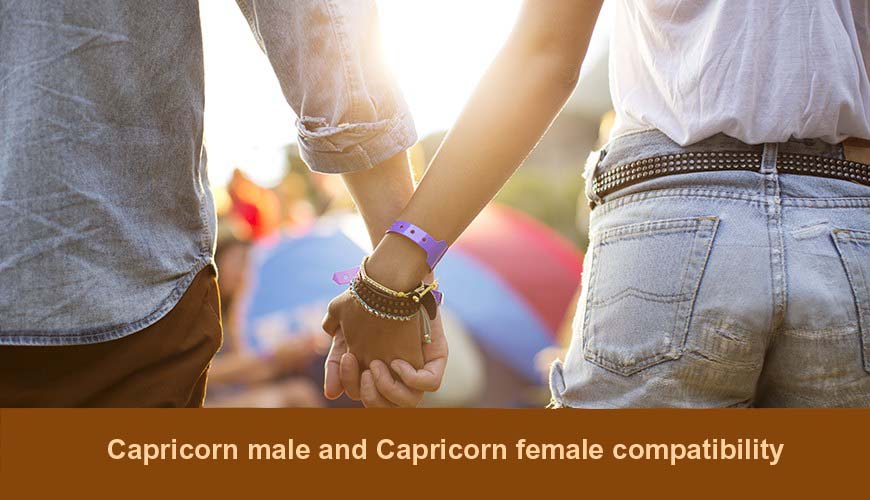 Capricorn Male Capricorn Female love compatibility
