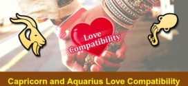 Capricorn and Aquarius compatibility