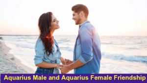 Aquarius Male and Aquarius Female friendship
