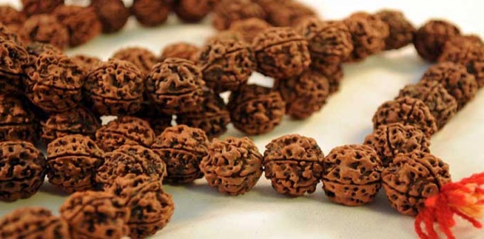 Rudraksha beads