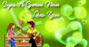 Signs a Gemini Man Likes You