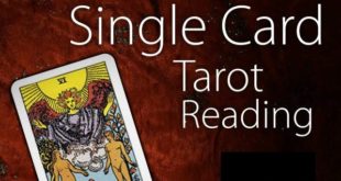 single card tarot reading