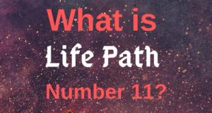Life path number 11