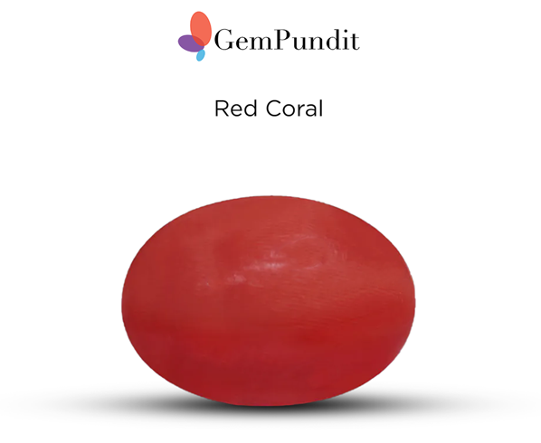 red coral gemstone