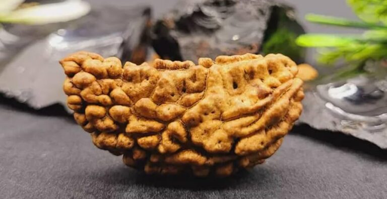 1 Mukhi Rudraksha: The Ultimate Symbol of Divine Energy and Enlightenment